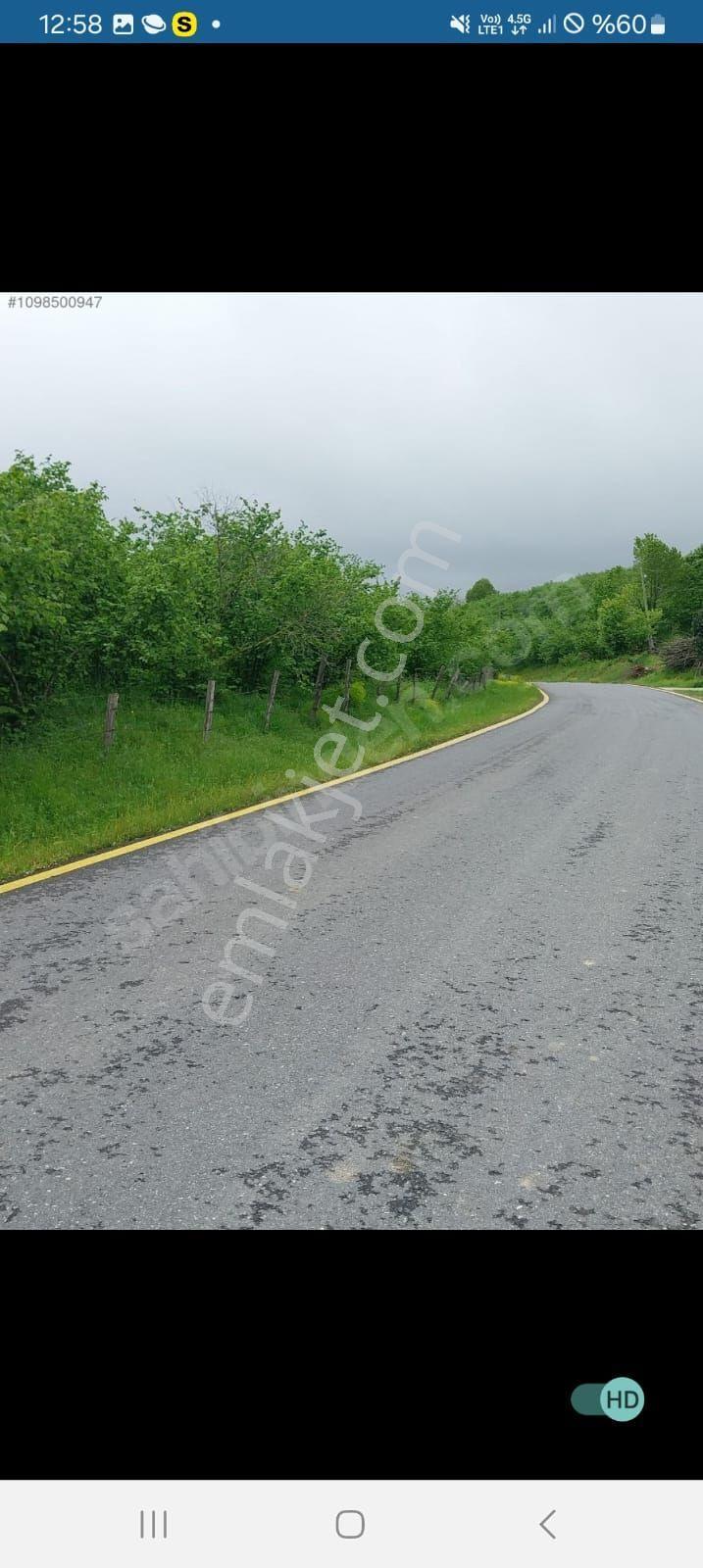 Yatırımlık Müstakil Yol Su Elektrekli Fındık Bahçesi - Görsel 4