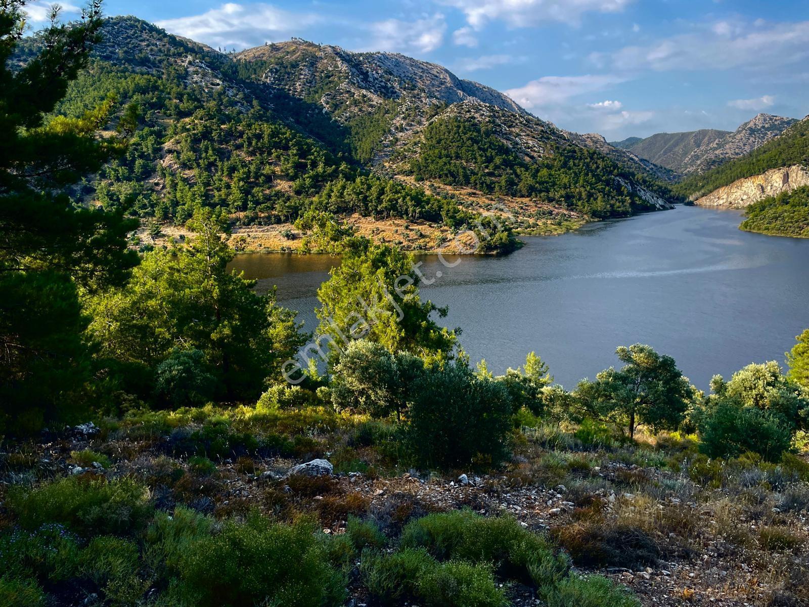 Doğadan Milas Yusufça Muhteşem Manzaralı Suyu Ve Yolu Olan Arazi - Görsel 4