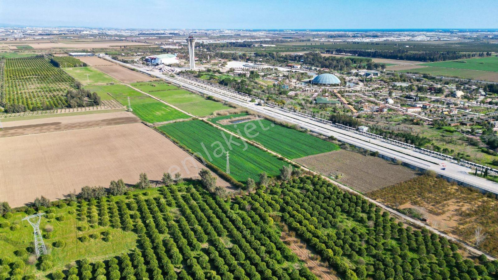 Aksu Solak Köyü Satılık Tarla Expo Center Dibinde 9440 M² - Görsel 8