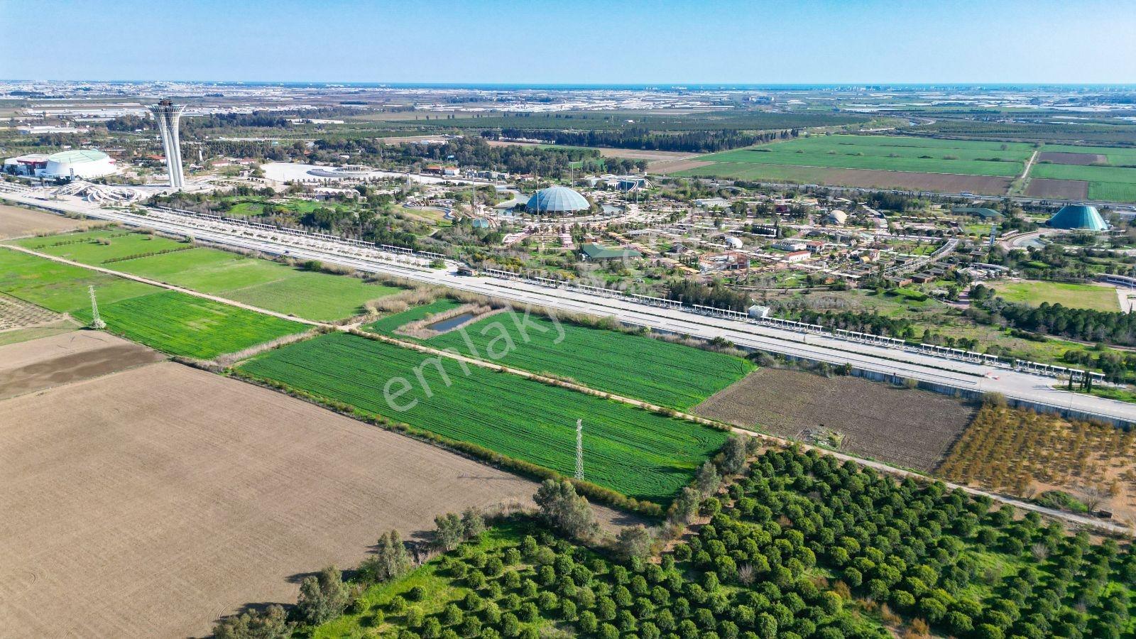 Aksu Solak Köyü Satılık Tarla Expo Center Dibinde 9440 M²