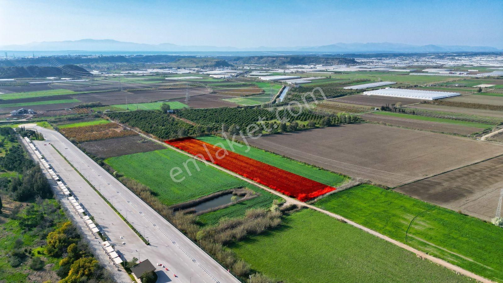 Aksu Solak Köyü Satılık Tarla Expo Center Dibinde 9440 M² - Görsel 5