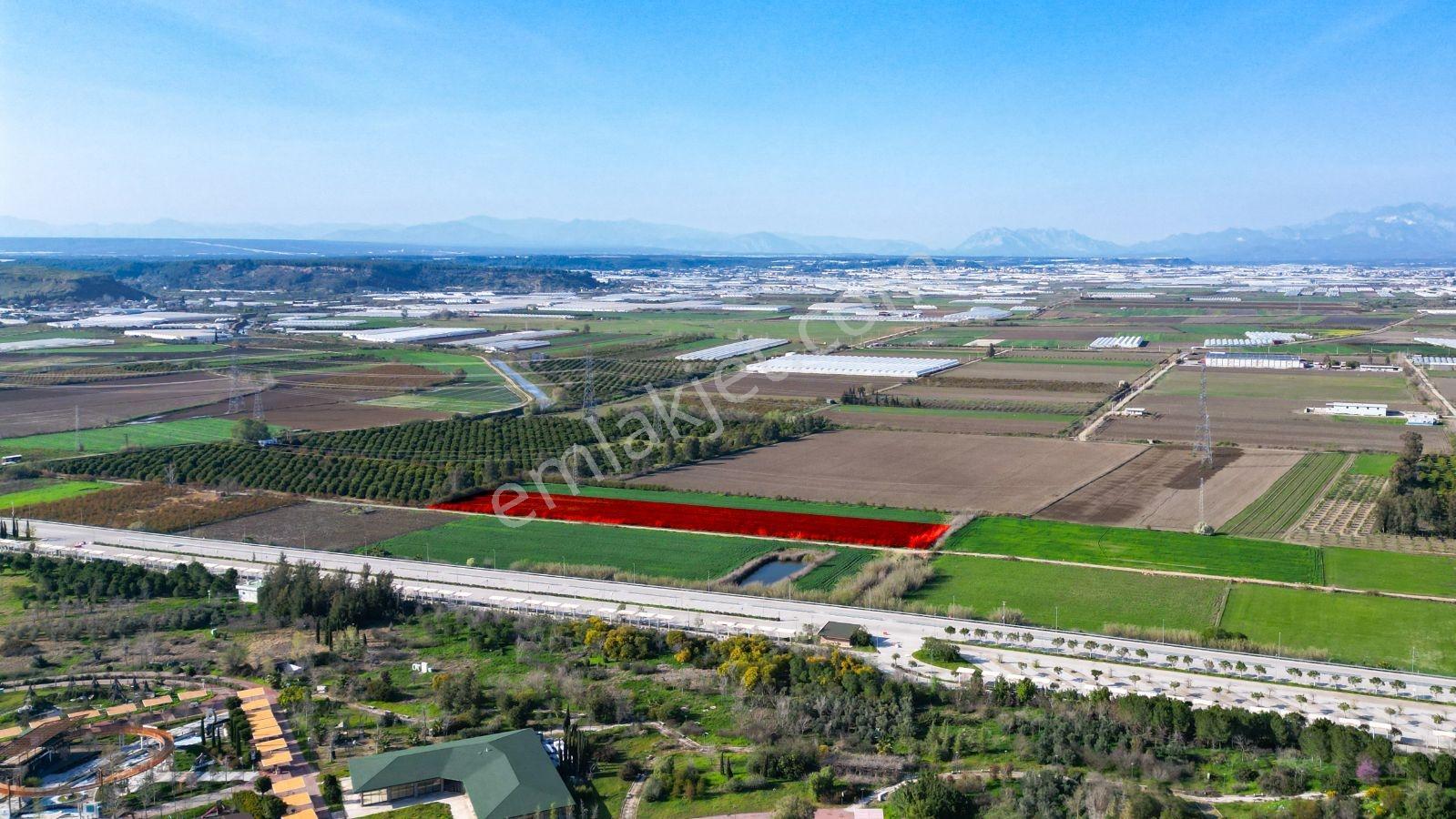 Aksu Solak Köyü Satılık Tarla Expo Center Dibinde 9440 M² - Görsel 6