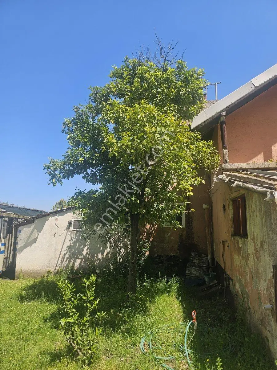 Marmaris Karaca'da Denize Sıfır Satılık Ev Ve Tarlası - Görsel 10