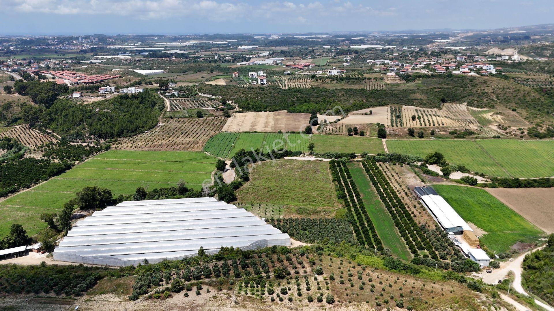 Manavgat Bucakşeyhler Bölgesinde 10.400 M² Satılık Tarla - Görsel 7