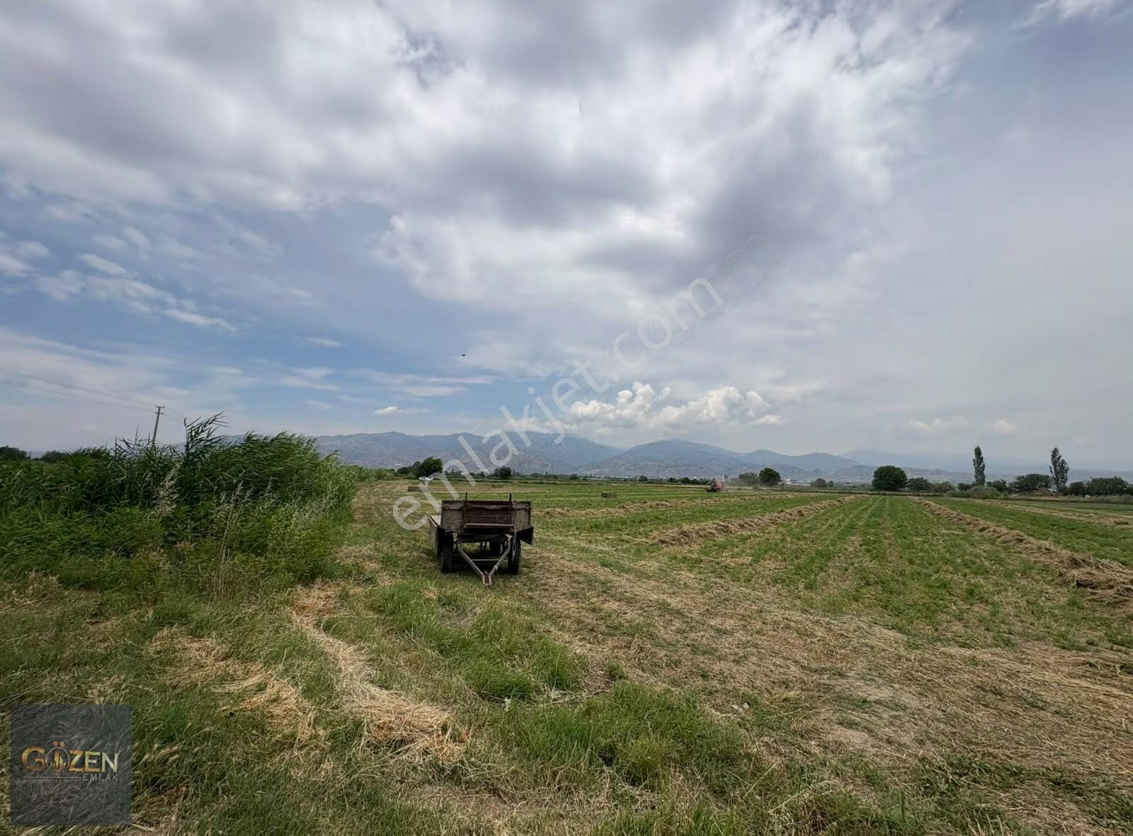 Aydın Efelerde Bu Fiyata Verimli Tarla Yok 12.700 M2 - Görsel 15