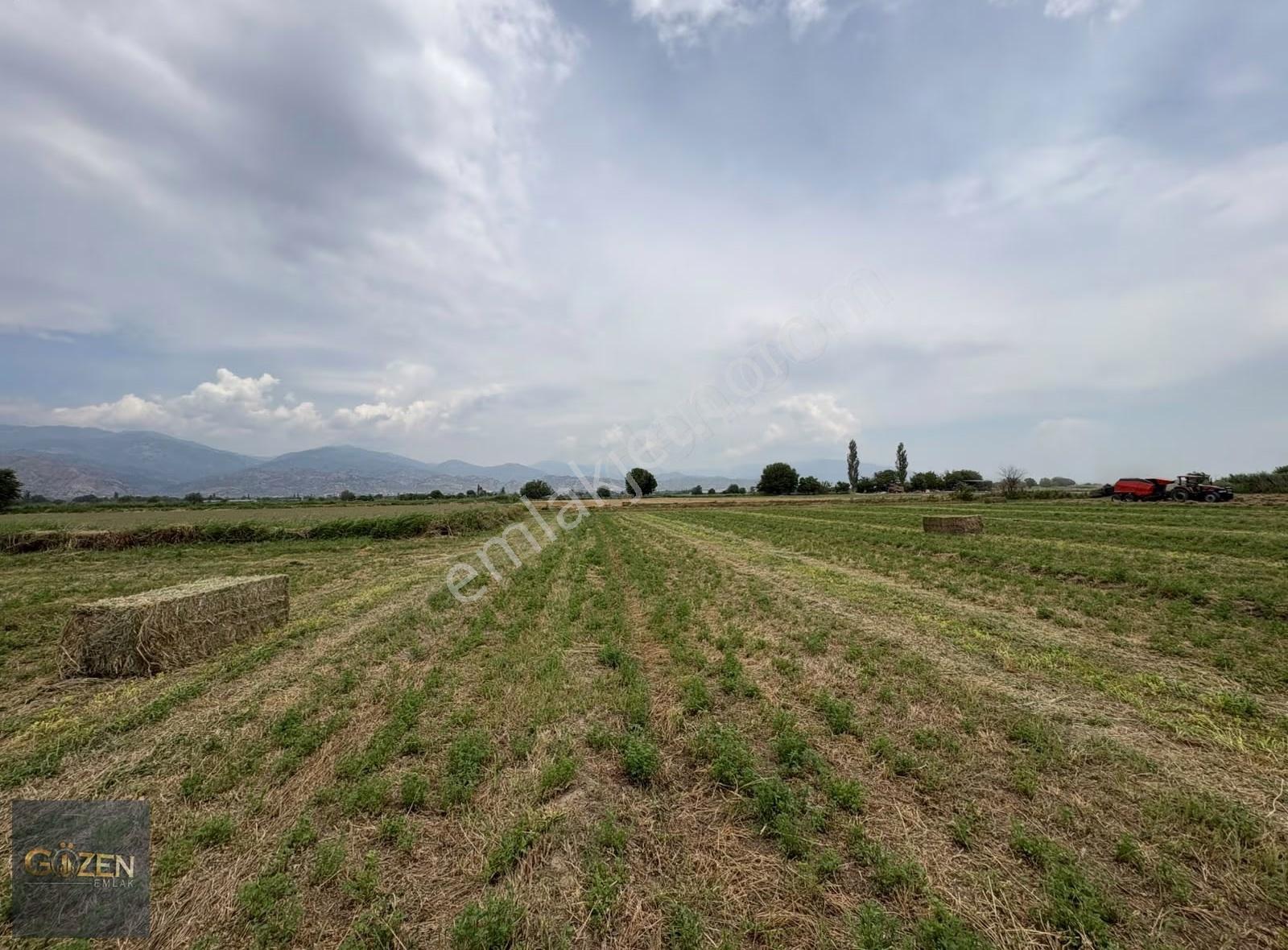 Aydın Efelerde Bu Fiyata Verimli Tarla Yok 12.700 M2 - Görsel 13