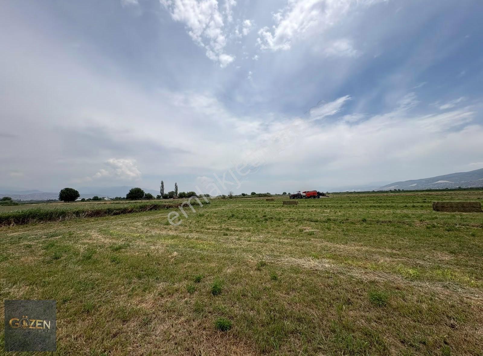 Aydın Efelerde Bu Fiyata Verimli Tarla Yok 12.700 M2 - Görsel 3