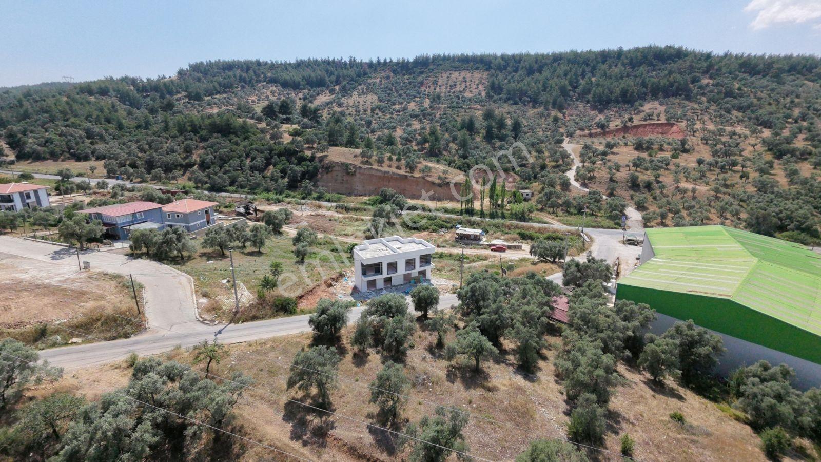 Milas Beçin Satılık İmarlı Arsa Ve Zeytinlik - Görsel 6