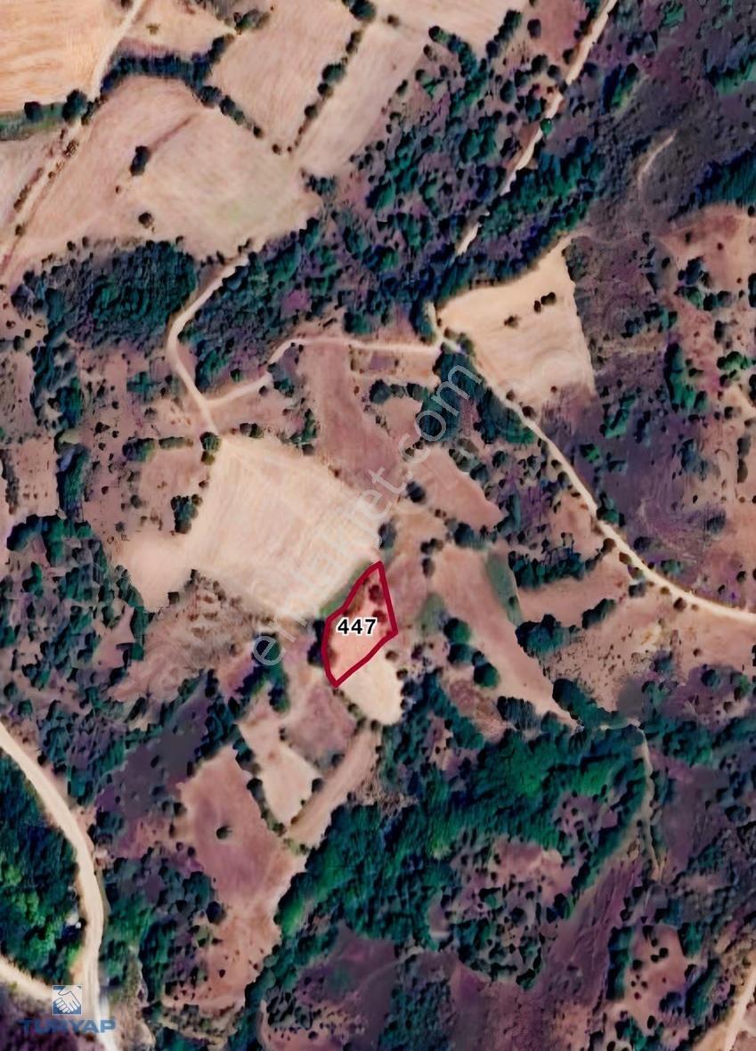 Çanakkale Biga İlyasalan'da 1.283 M² Doğa Manzaralı Tarla - Görsel 2