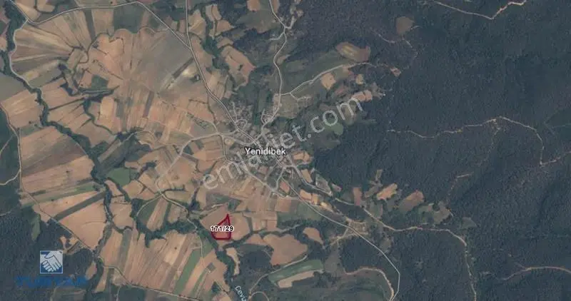 Tekirdağ Malkara Yenidibek 10.300m2 Orman Manzaralı Tarla - Görsel 4