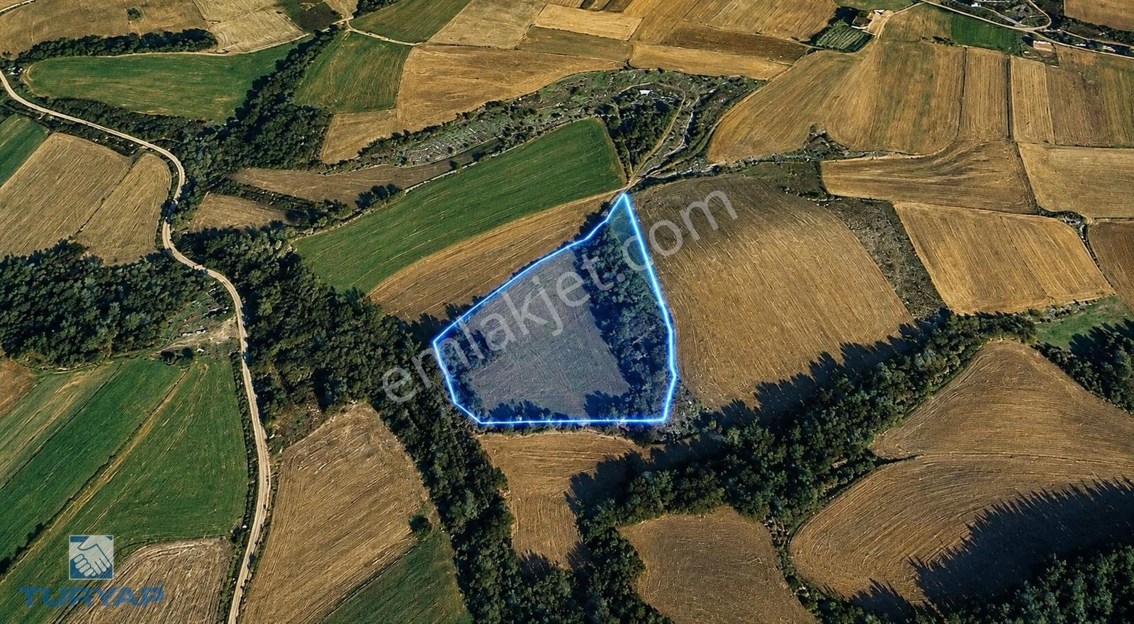 Tekirdağ Malkara Yenidibek 10.300m2 Orman Manzaralı Tarla