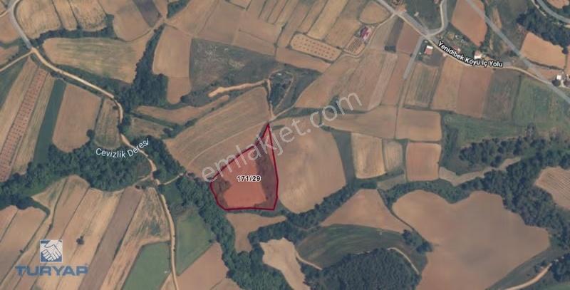 Tekirdağ Malkara Yenidibek 10.300m2 Orman Manzaralı Tarla - Görsel 2
