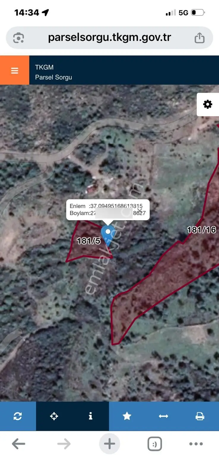 Bodrum Gökpınar Köyü'nde 817 M2 Zeytinlik - Görsel 2