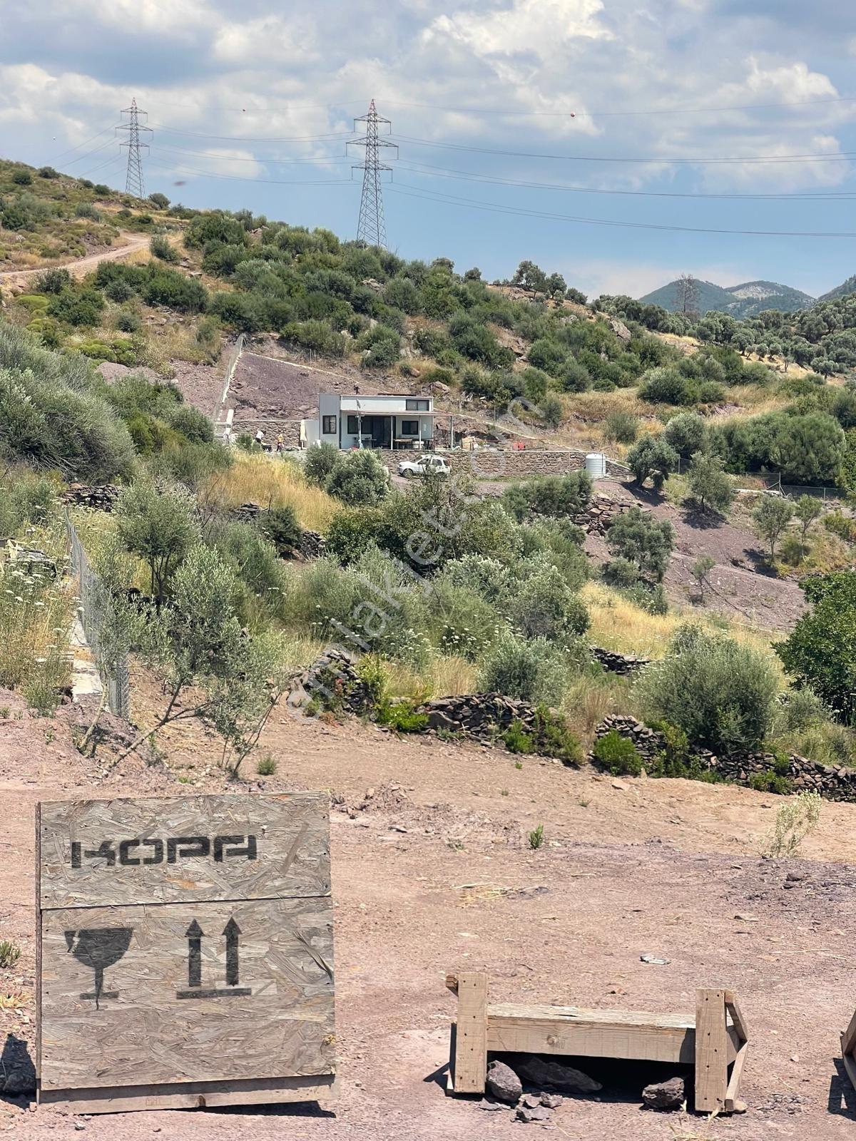 Bodrum Gökpınar Köyü'nde 817 M2 Zeytinlik - Görsel 8