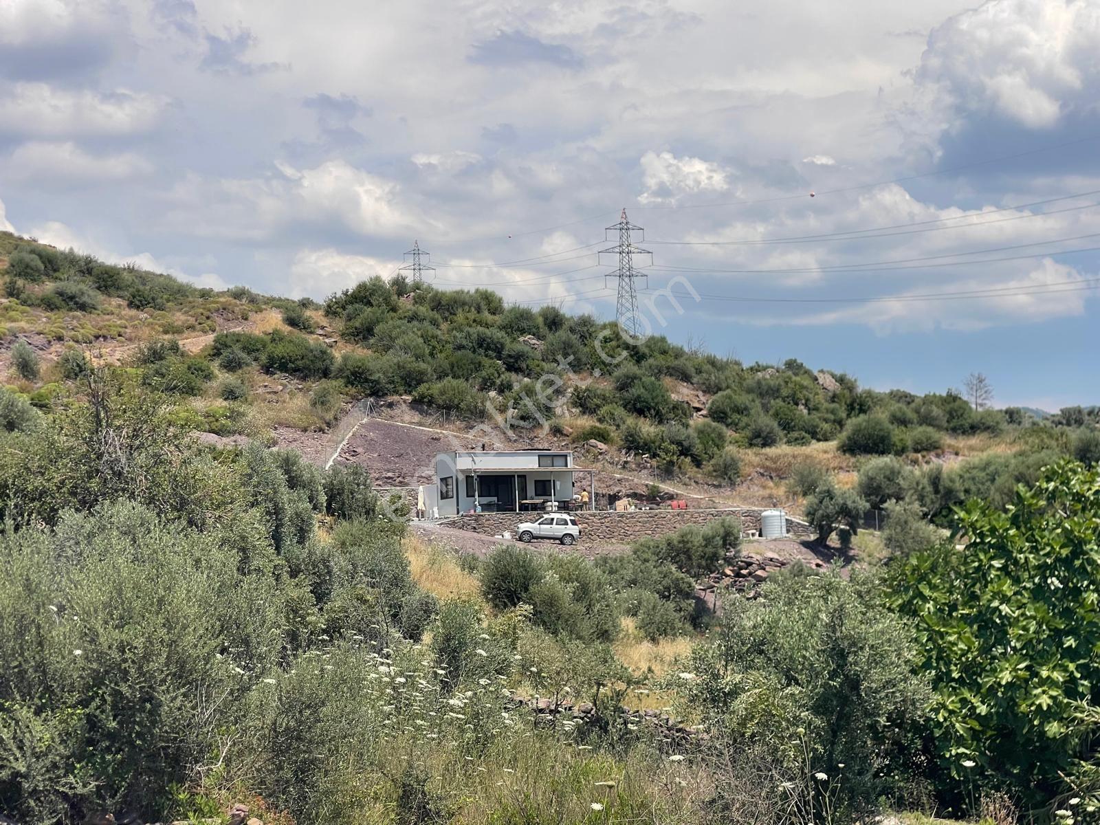 Bodrum Gökpınar Köyü'nde 817 M2 Zeytinlik - Görsel 12