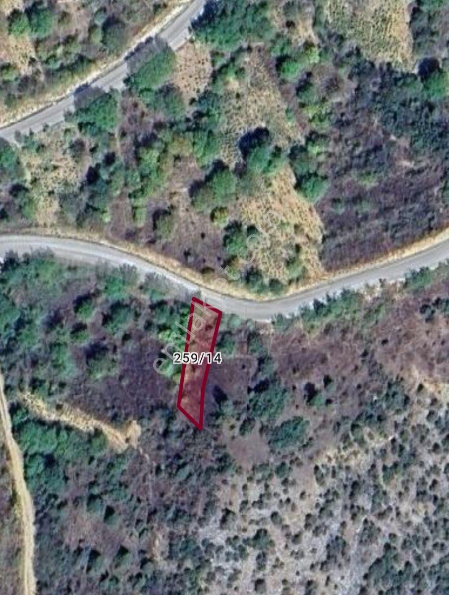 Profasor * Dan Gelemiçte*422 M2 *asvaltyola Cephe*tek Tapu Bahçe