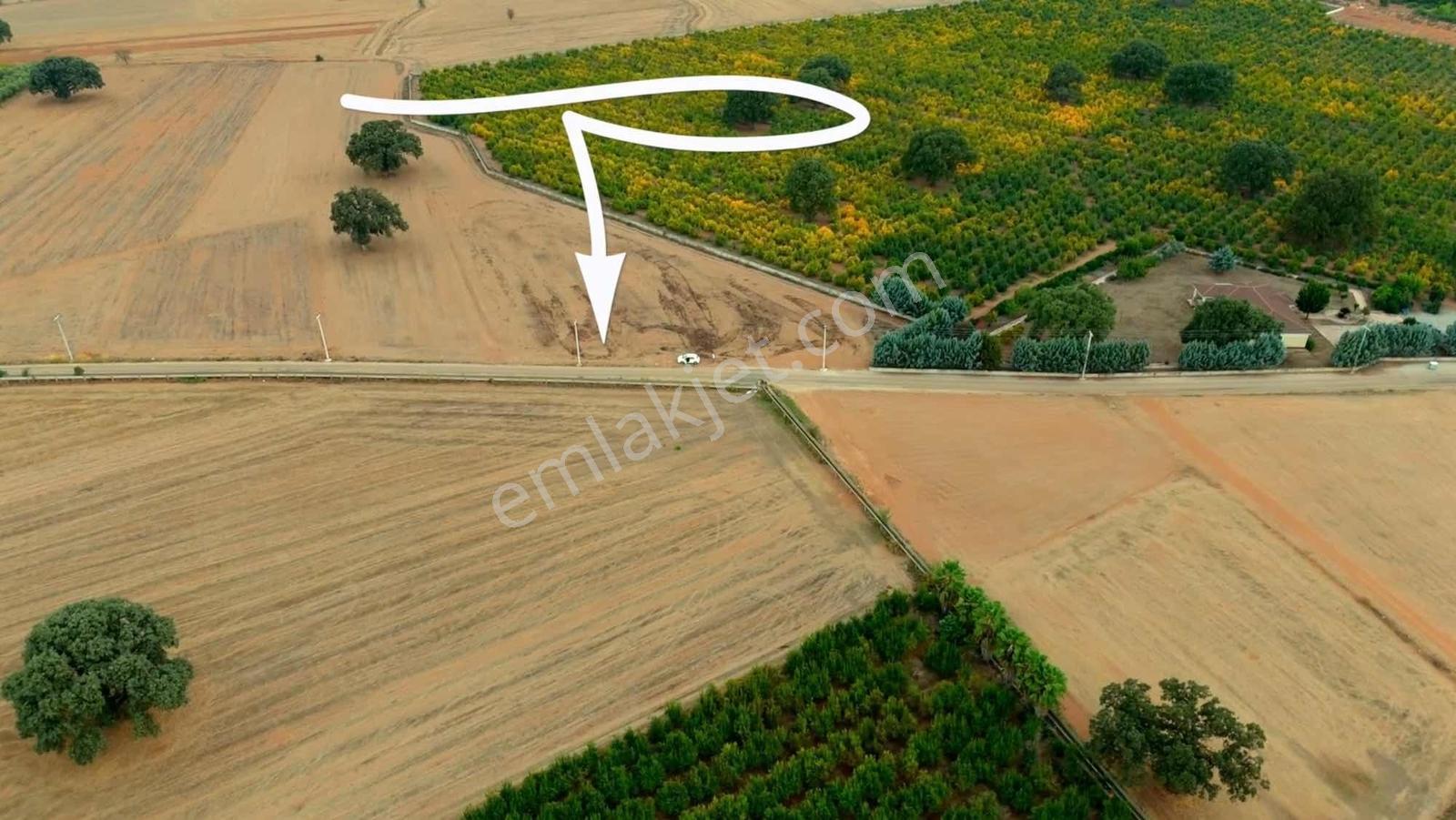 Kızıllı'da Asvalt Yola Sıfır Tek Hissedarlı 36879 M2 Tarla - Görsel 4