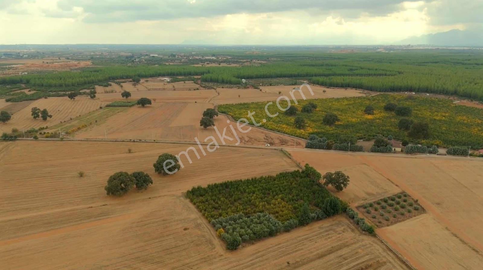 Kızıllı'da Asvalt Yola Sıfır Tek Hissedarlı 36879 M2 Tarla - Görsel 12