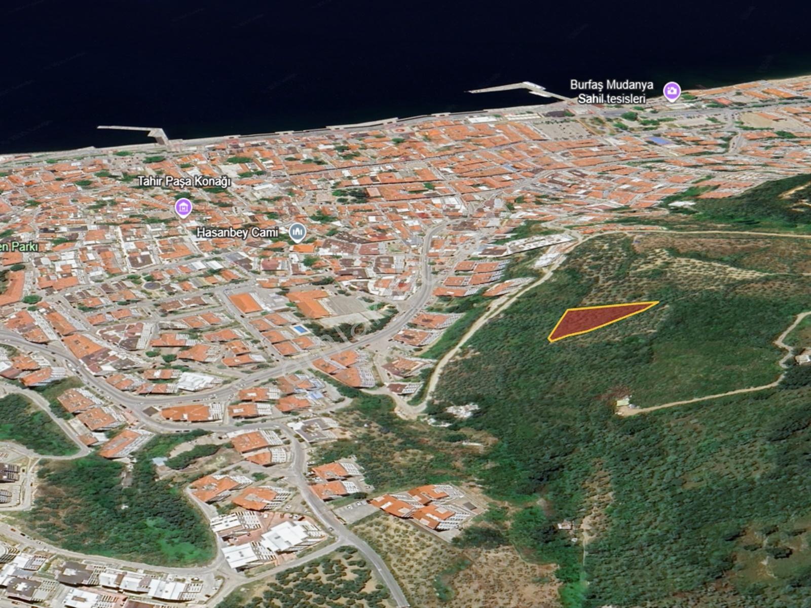 Mudanya Hasanbey'de Deniz Manzaralı 1873m² Zeytinlik - Görsel 10