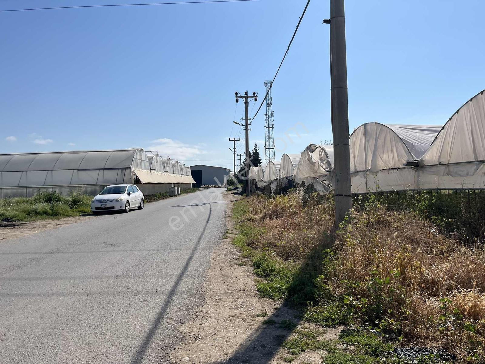 Kemerağzı'nda Asfalt Yola Sıfır 4.450 M2 Çilek Tarlası - Görsel 8