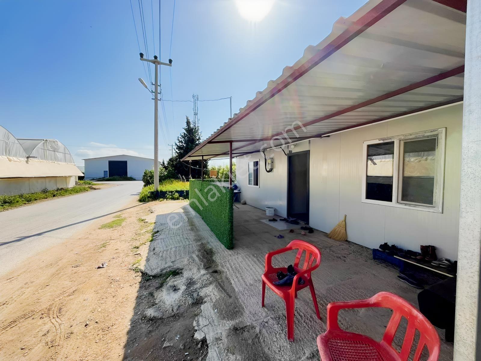 Kemerağzı'nda Asfalt Yola Sıfır 4.450 M2 Çilek Tarlası - Görsel 10