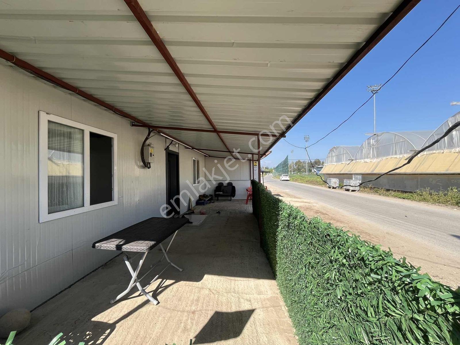 Kemerağzı'nda Asfalt Yola Sıfır 4.450 M2 Çilek Tarlası - Görsel 9