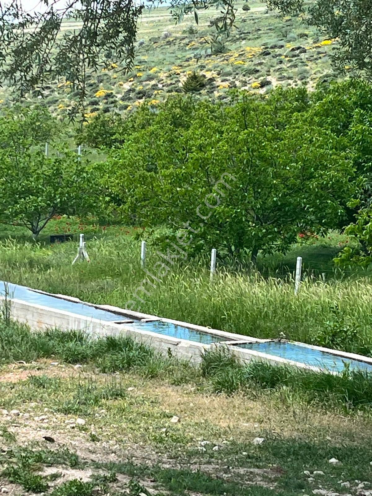 Nw Mersin Mut Güme Mh 4.463 M² - Görsel 30