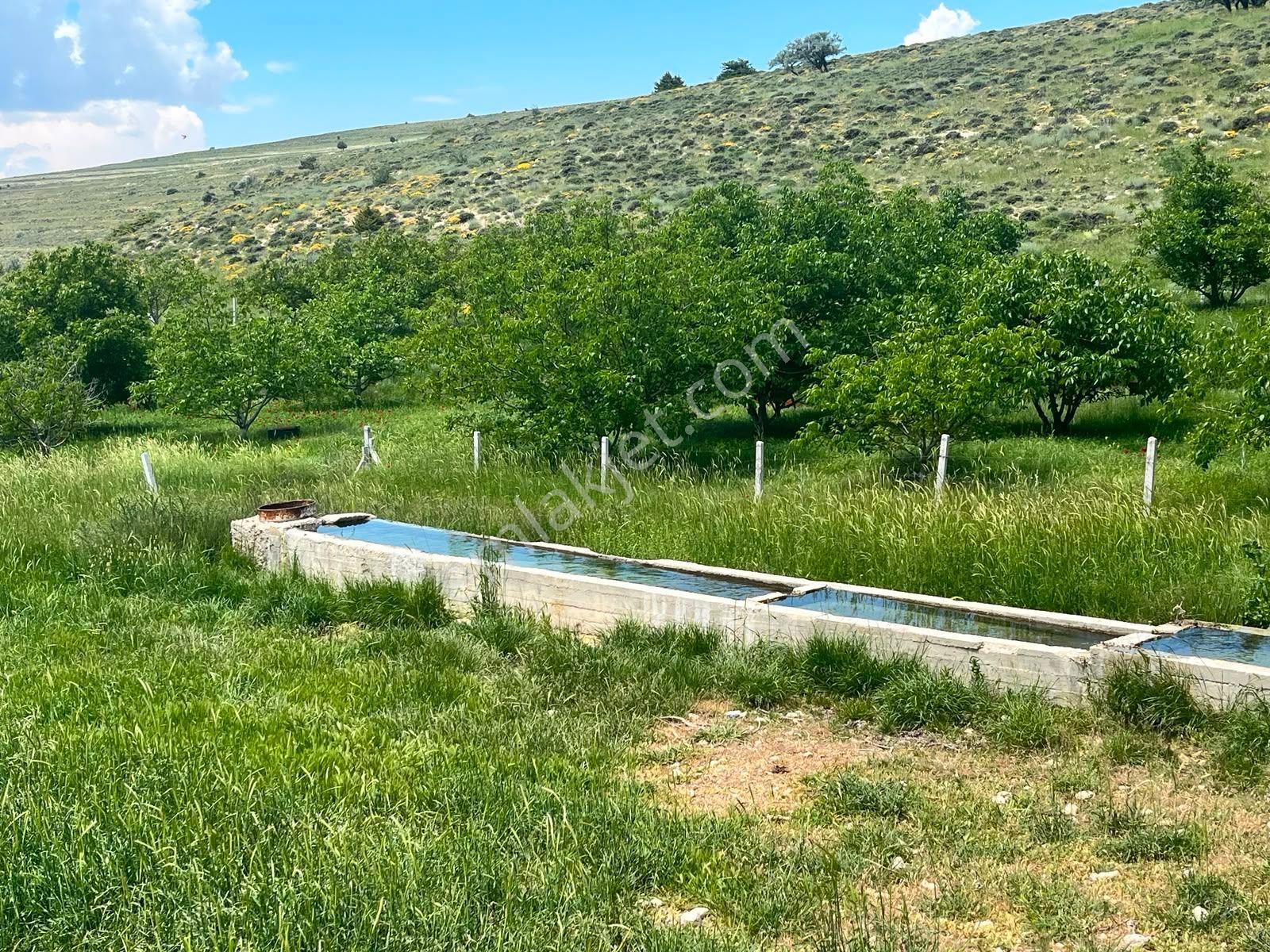 Nw Mersin Mut Güme Mh 4.463 M² - Görsel 14