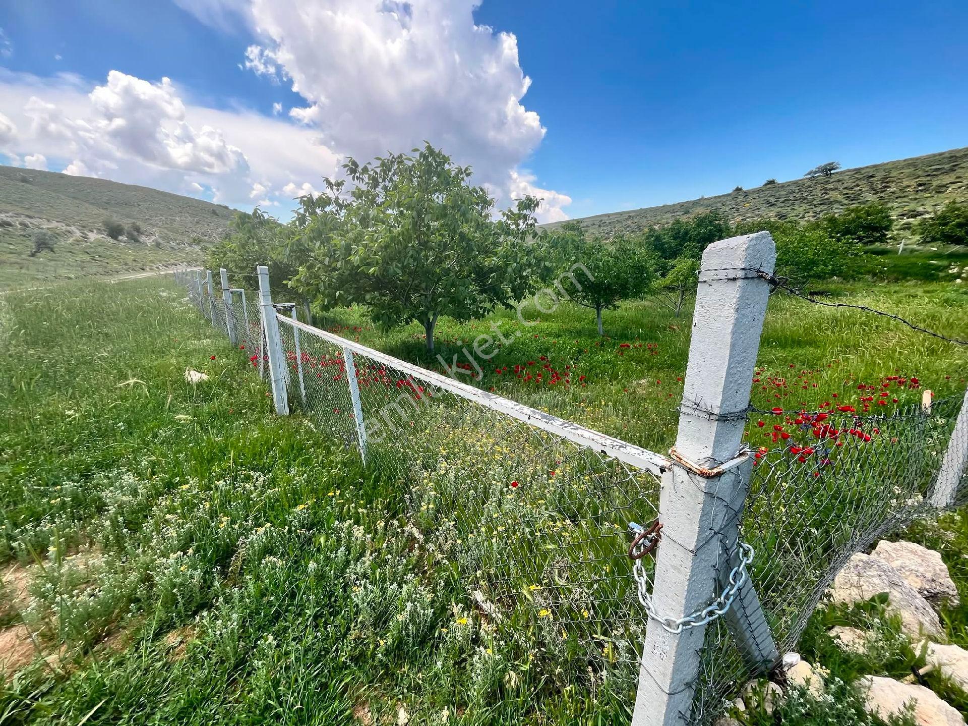 Nw Mersin Mut Güme Mh 4.463 M² - Görsel 25