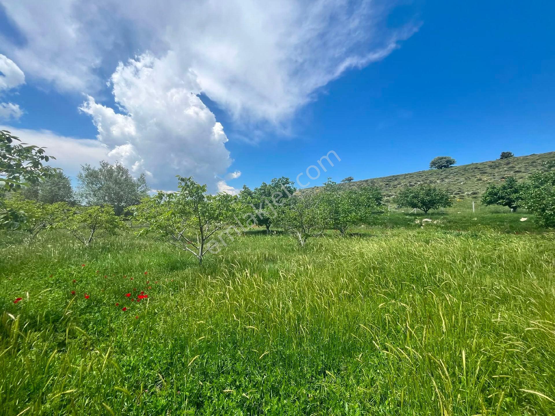 Nw Mersin Mut Güme Mh 4.463 M² - Görsel 29