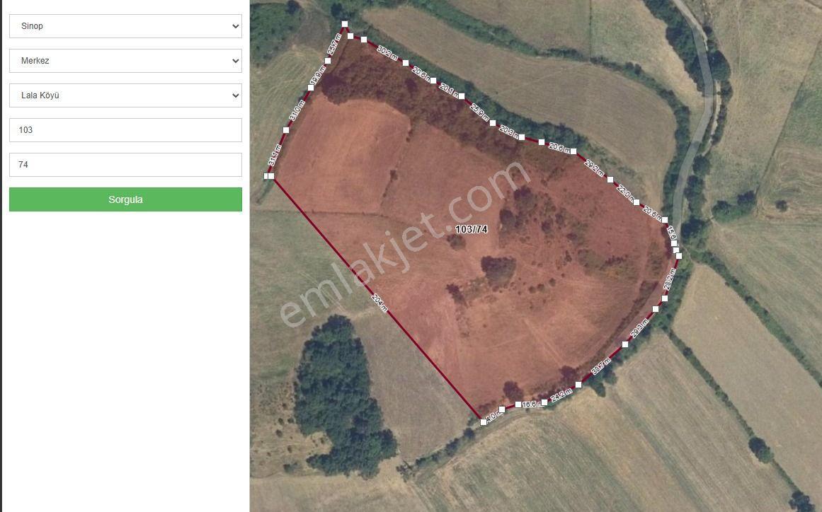 Denize 1.150 Metre Mesafede | Lala Köyü'nde 12 Dönüm Satılık Hisseli Tarla - Görsel 7