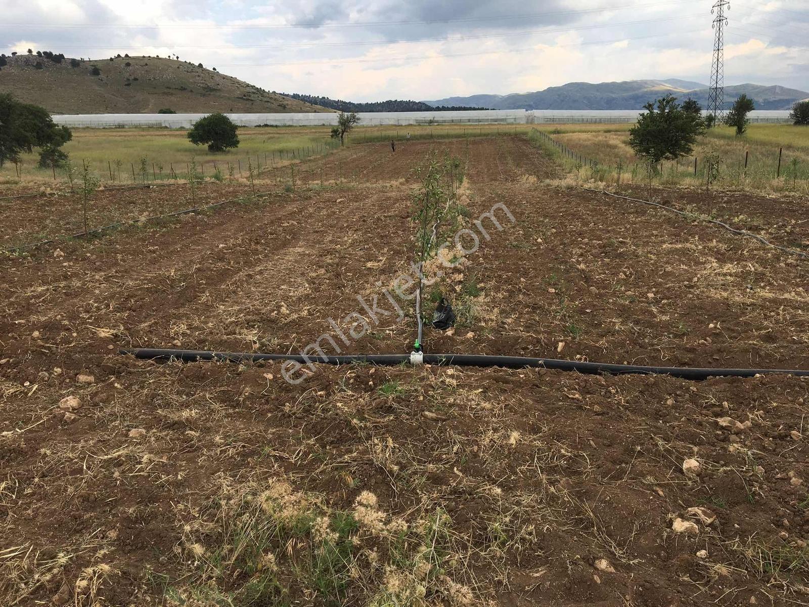 Burdur-fethiye Yoluna Cephe | 4011 M² Damla Sulama+230 Elma - Görsel 17