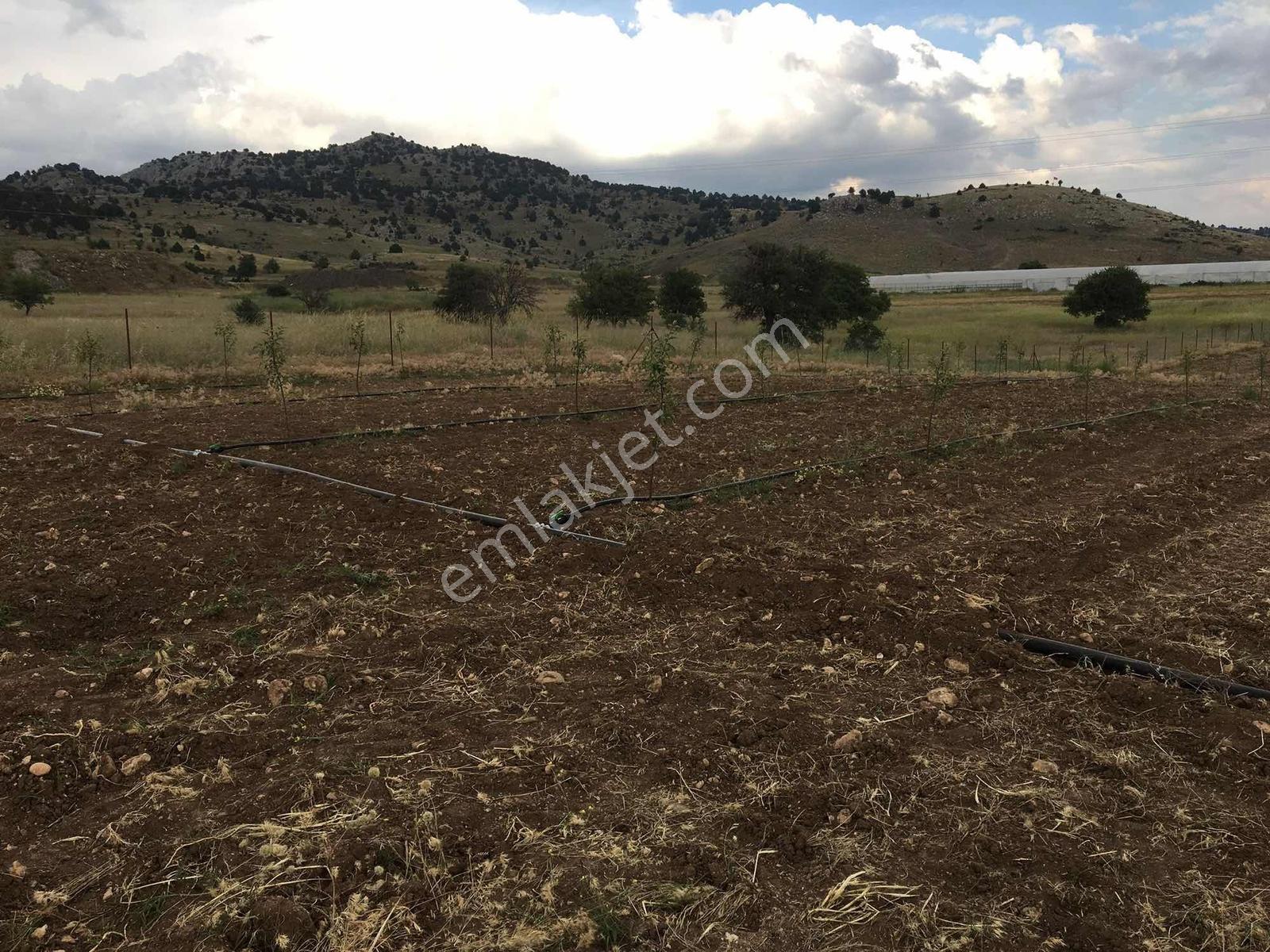 Burdur-fethiye Yoluna Cephe | 4011 M² Damla Sulama+230 Elma - Görsel 16