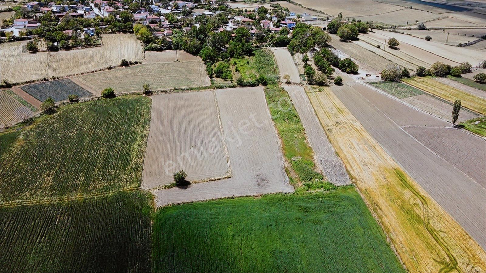 Vize Çavuşköy'de 1600 M2'si İmralı 3979 M2 Tarla - Görsel 7