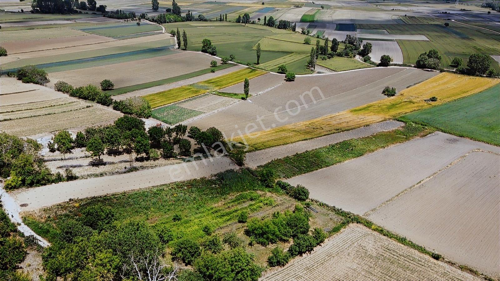 Vize Çavuşköy'de 1600 M2'si İmralı 3979 M2 Tarla - Görsel 17