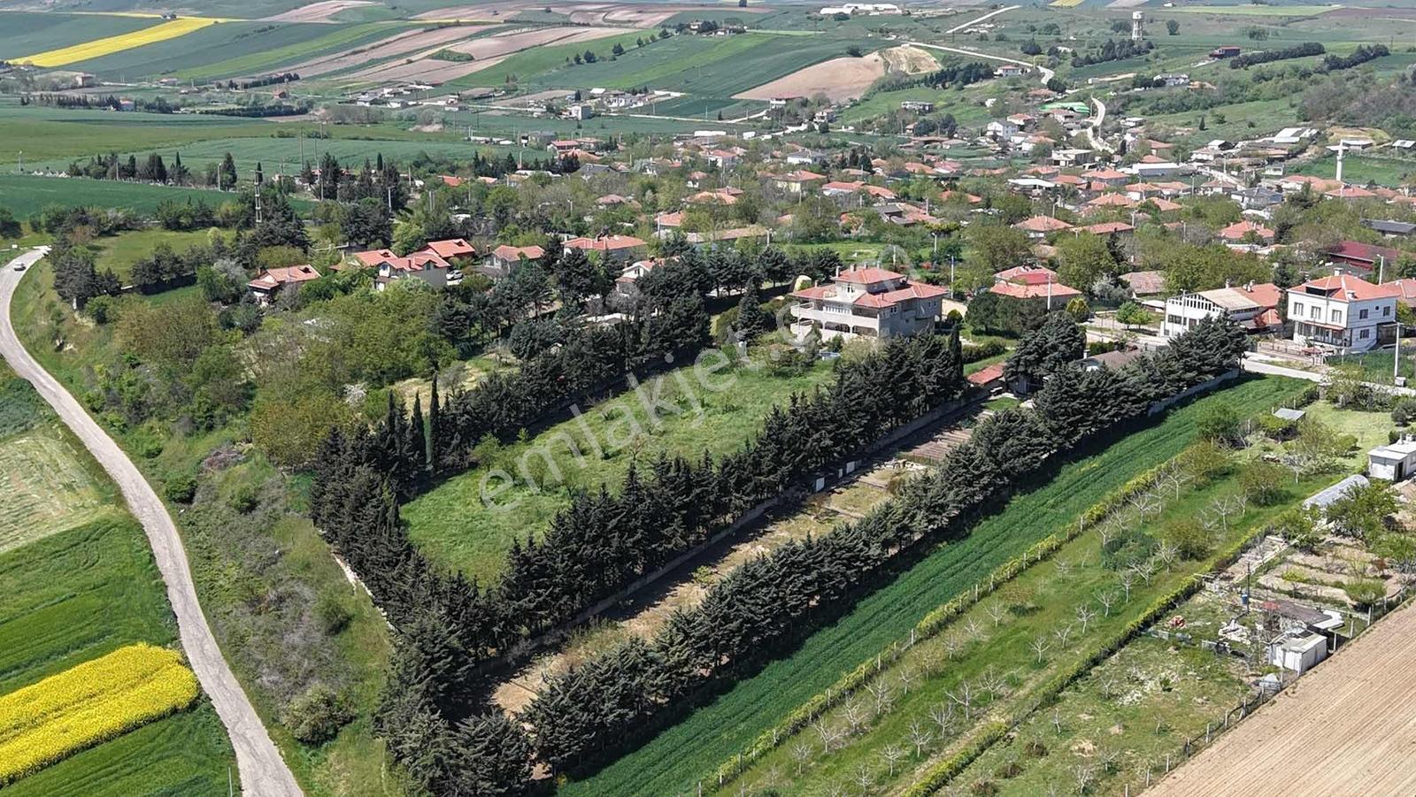 L.burgaz Ayvalıda Satılık 5300 M2 2 Arsa Ve 1000 M2 Çiftlik Evi - Görsel 12