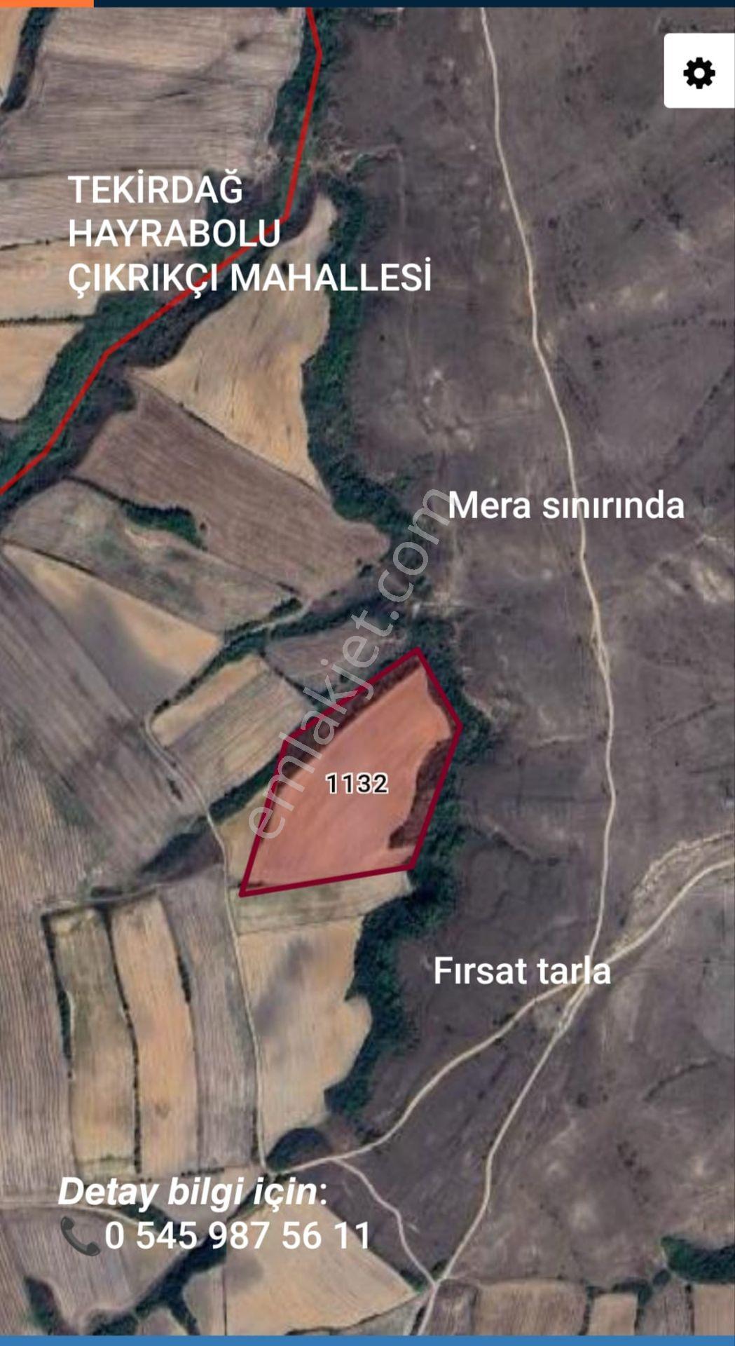 Çıkrıkçı Mahallesinde Mera Sınırlı Satılık Tarla - Görsel 3