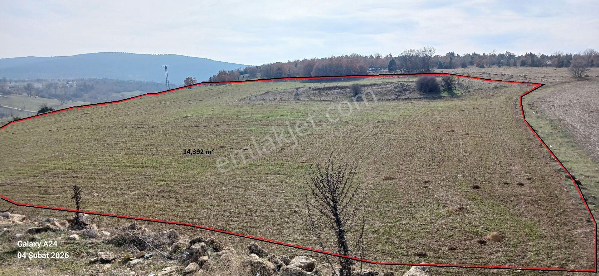 Bilecik Bozüyük Yenidoğan Mahallesinde Satılık Tarla - Görsel 3