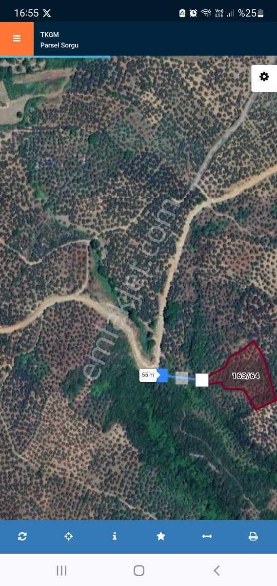 Anıl Emlak Tan Talatbeyde Deniz Man. Müs. Tapu 4225 M2 Zeytinlik - Görsel 3