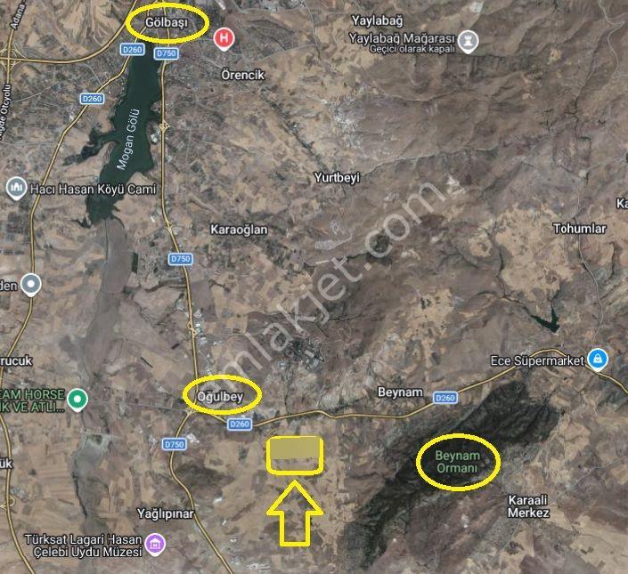 Gölbaşı Oğulbeyde 500m2 Hisse Tapu Bahçe Karadeniz Emlaktan - Görsel 5