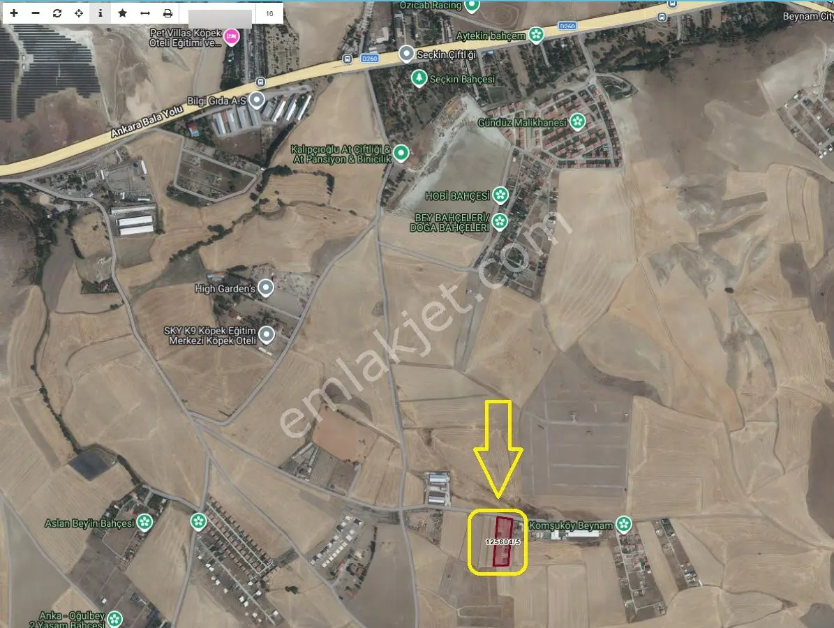 Gölbaşı Oğulbeyde 500m2 Hisse Tapu Bahçe Karadeniz Emlaktan - Görsel 3