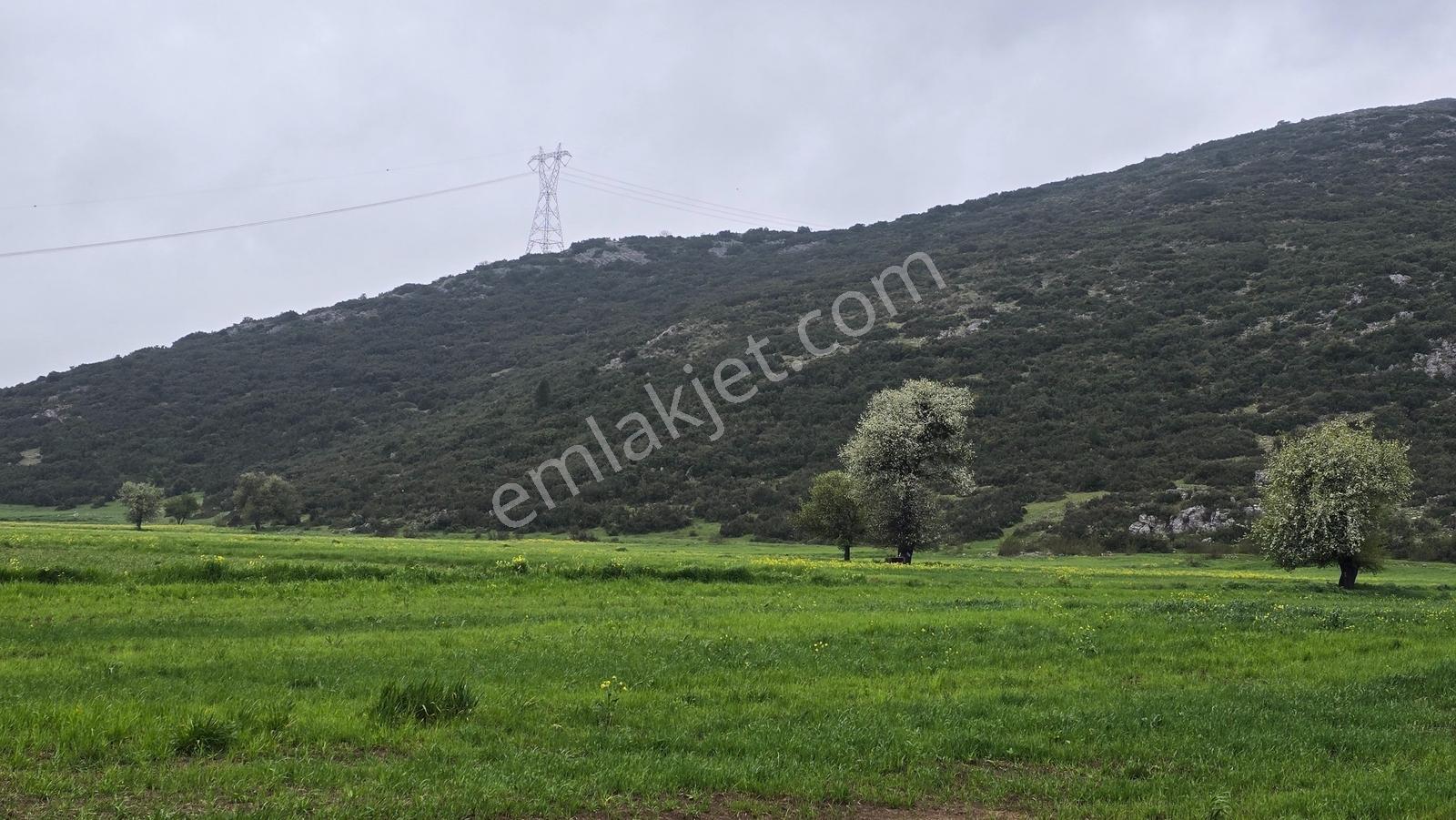Mellidağ'da Kaçırılmayacak Fırsat! 2.812 M2 Yatırmlık Tarla - Görsel 4