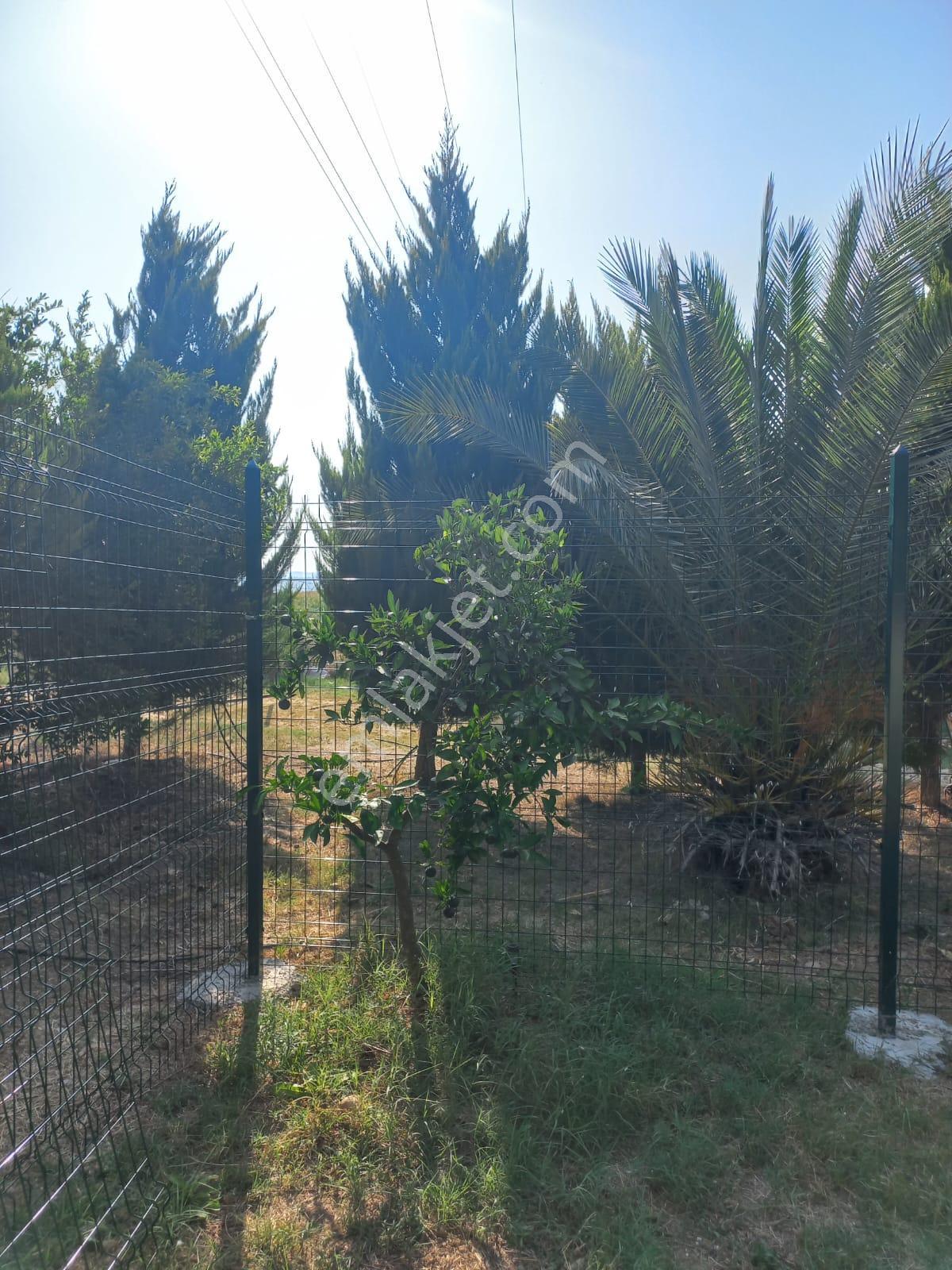 Yok Bu Fiyata Sarıçam Karaömerli Göl Manzaralı 10dönüm İçinde 1+1daire Var Takas Olur - Görsel 19