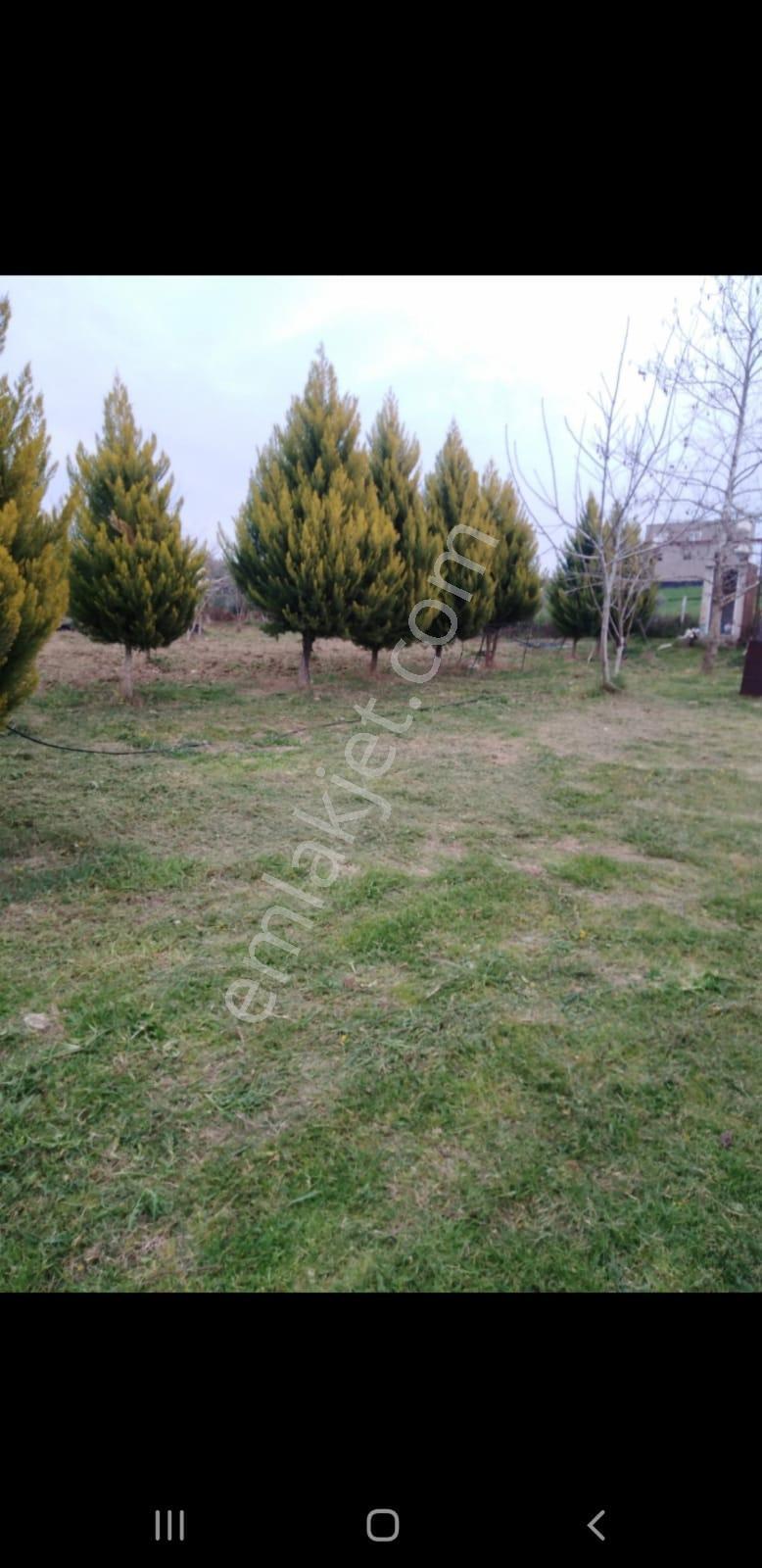Yok Bu Fiyata Sarıçam Karaömerli Göl Manzaralı 10dönüm İçinde 1+1daire Var Takas Olur - Görsel 12