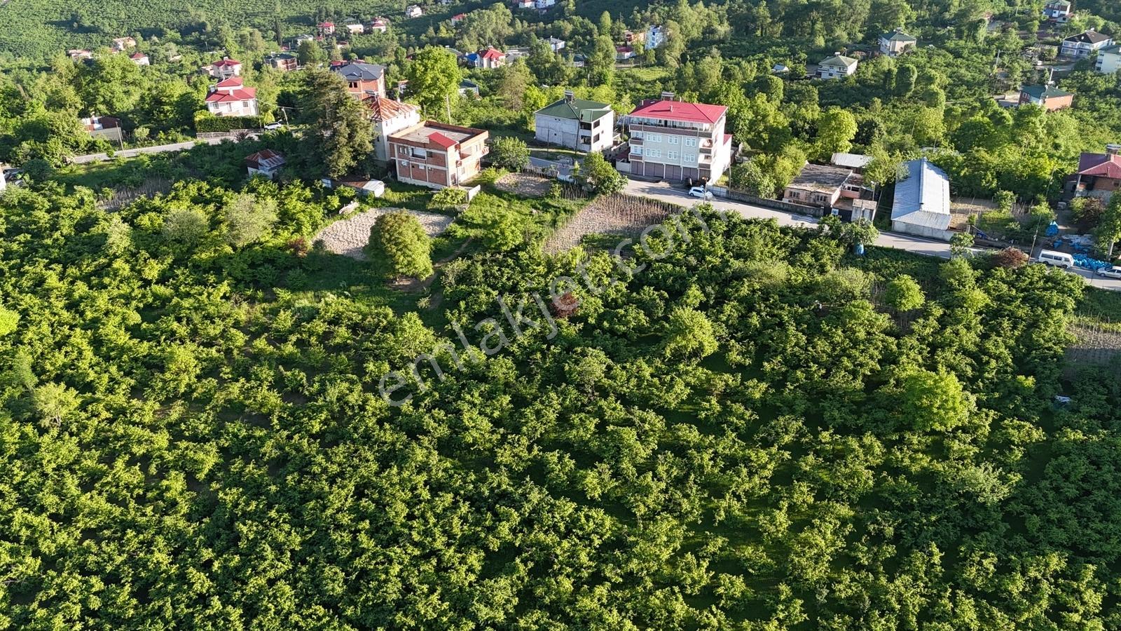 Trabzon Ortahisar Düzyurt Mahallesi'nde Satılık Fırsat Arsa - Görsel 13