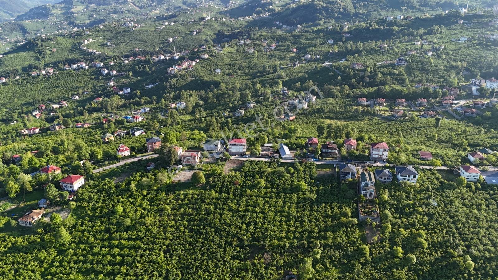 Trabzon Ortahisar Düzyurt Mahallesi'nde Satılık Fırsat Arsa - Görsel 6