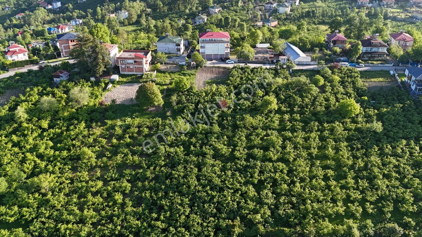 Trabzon Ortahisar Düzyurt Mahallesi'nde Satılık Fırsat Arsa - Görsel 4