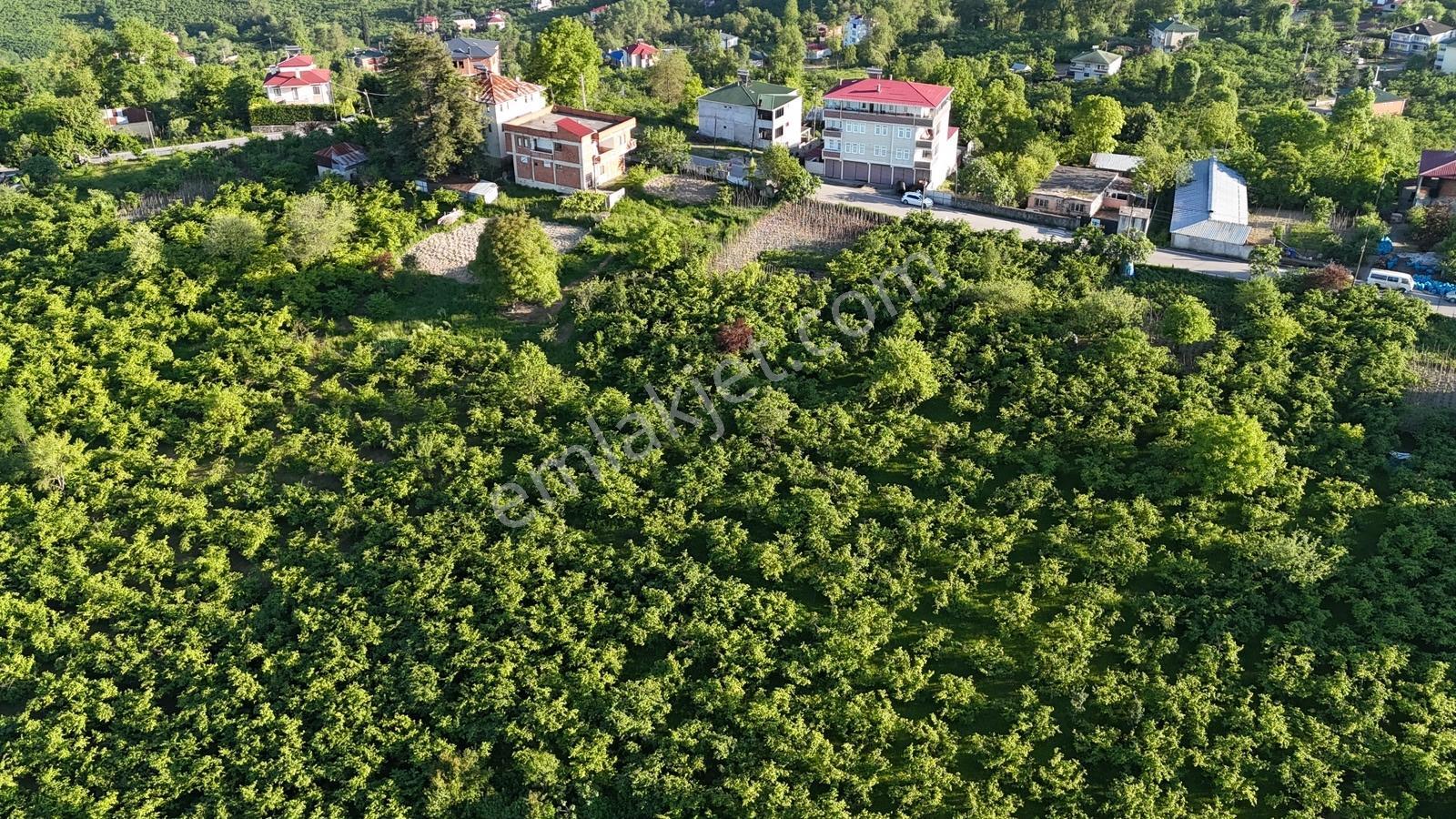 Trabzon Ortahisar Düzyurt Mahallesi'nde Satılık Fırsat Arsa - Görsel 19
