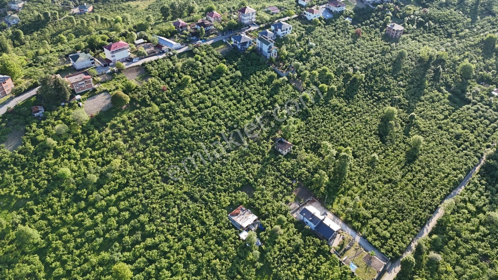 Trabzon Ortahisar Düzyurt Mahallesi'nde Satılık Fırsat Arsa - Görsel 5