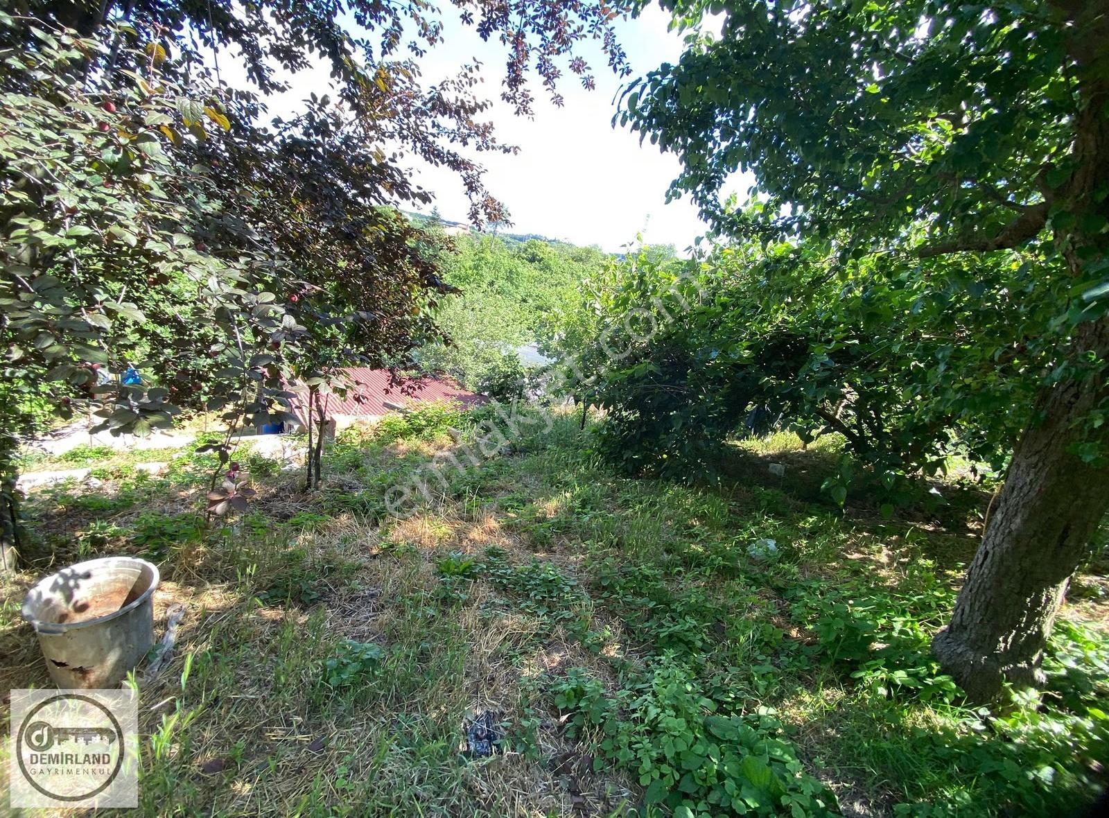 Demirland'dan Satılık İstanbul Beykoz Boğaz Hattında Arsa - Görsel 6